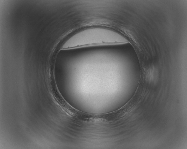 X0000073480539200607310853