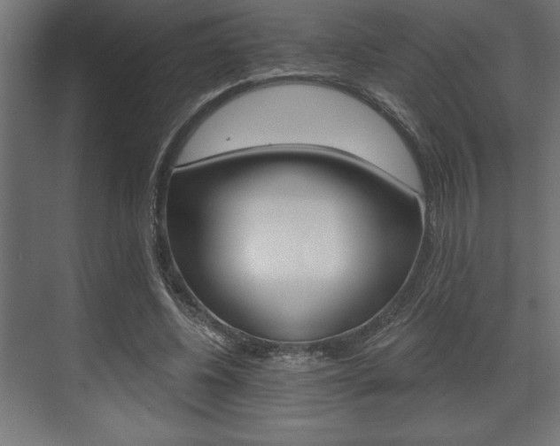 X0000073480540200607310853
