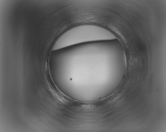 X0000073480541200607310853