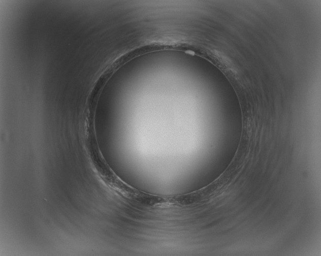 X0000073480544200607310853