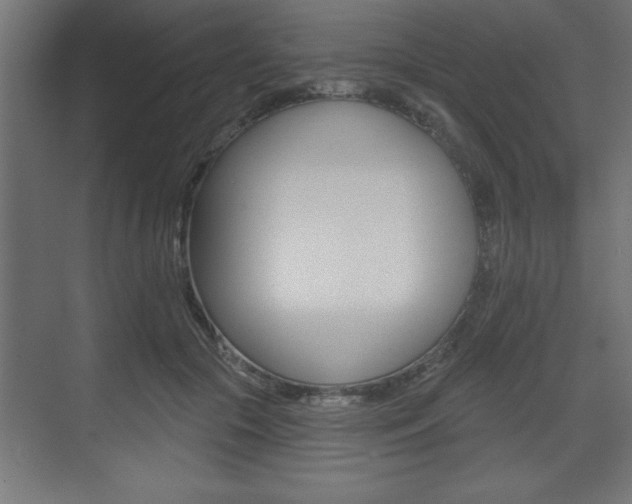 X0000073480553200607310854