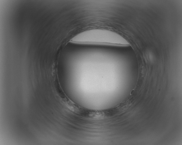 X0000073480559200607310854