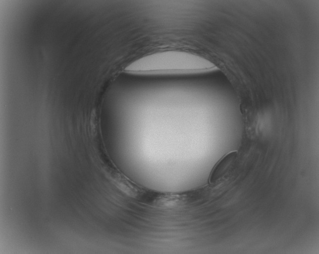 X0000073480563200607310854
