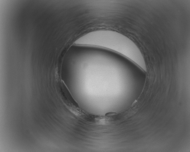 X0000073480564200607310854