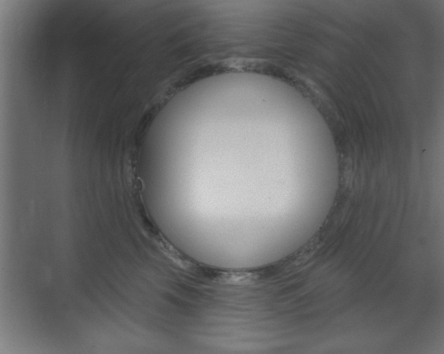 X0000073480569200607310854