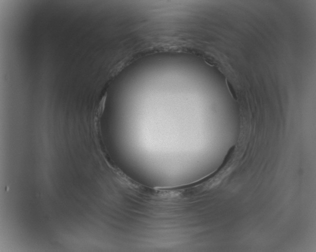 X0000073480576200607310854