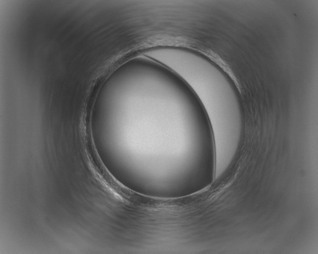 X0000073480581200607310853