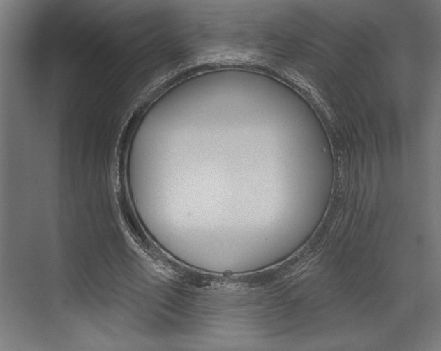 X0000073480582200607310853