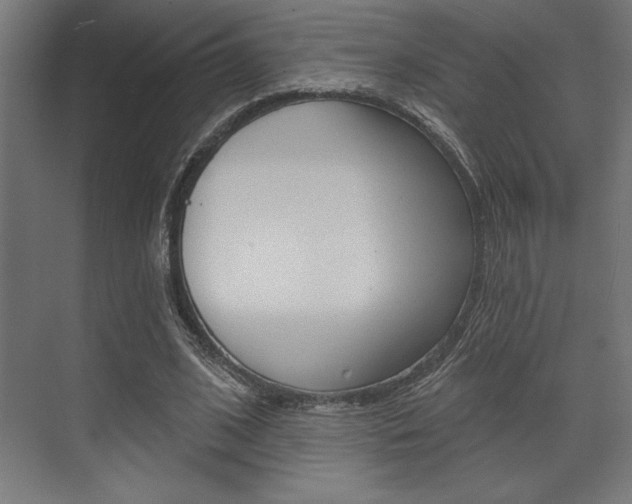 X0000073480584200607310853