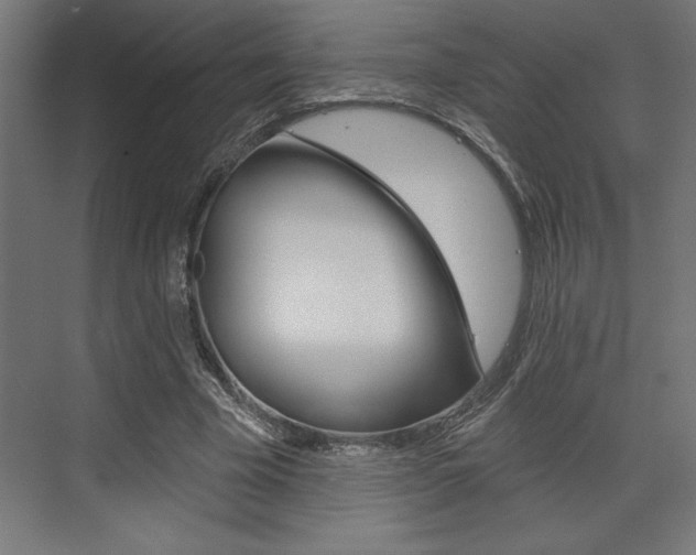 X0000073480585200607310853