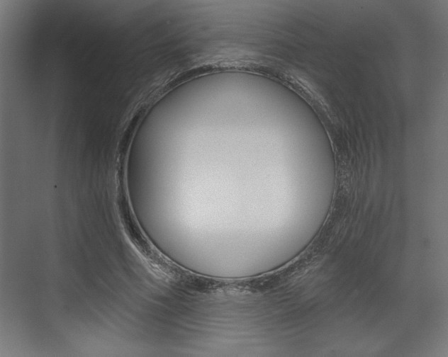 X0000073480586200607310853