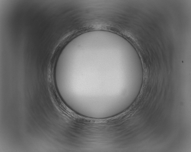 X0000073480587200607310853
