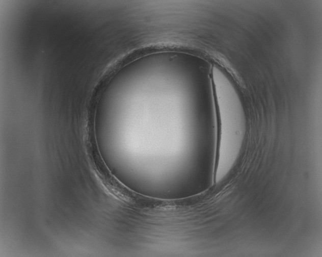 X0000073480588200607310853