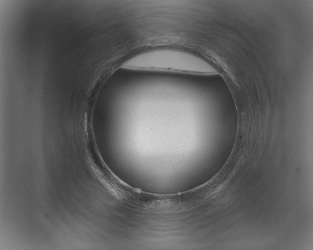 X0000073480589200607310853