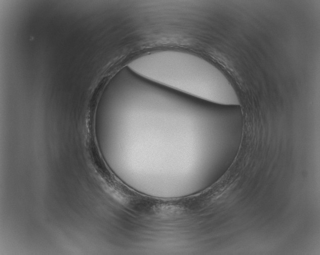 X0000073480590200607310853