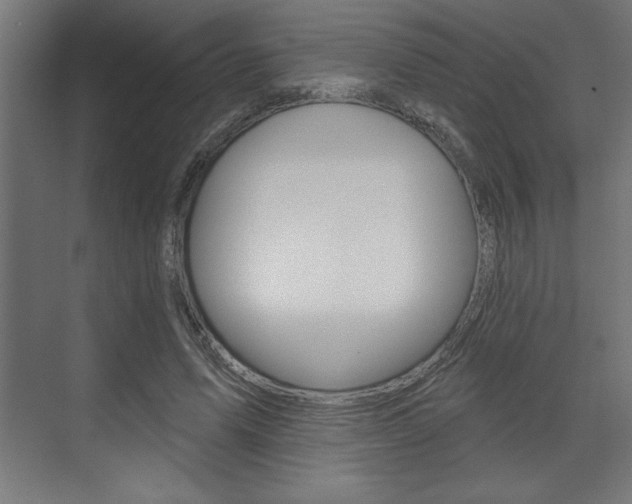 X0000073480591200607310853