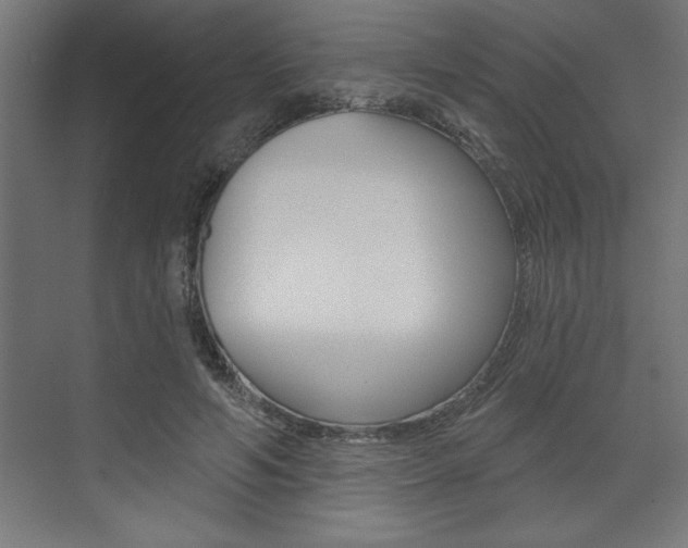 X0000073480594200607310853