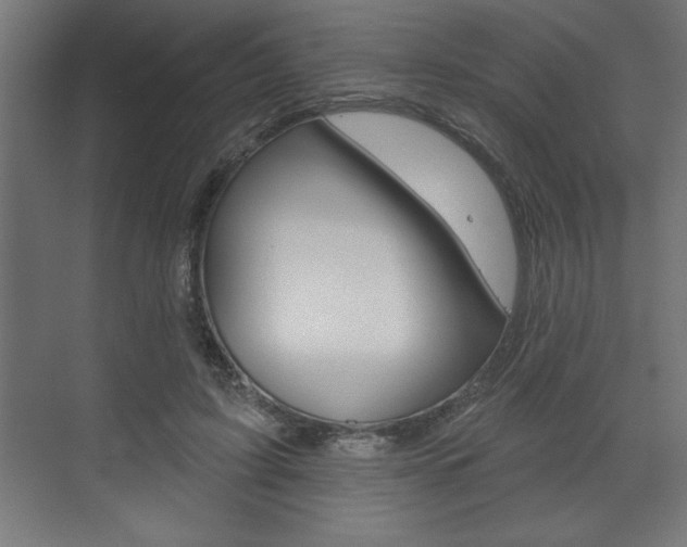 X0000073480595200607310853