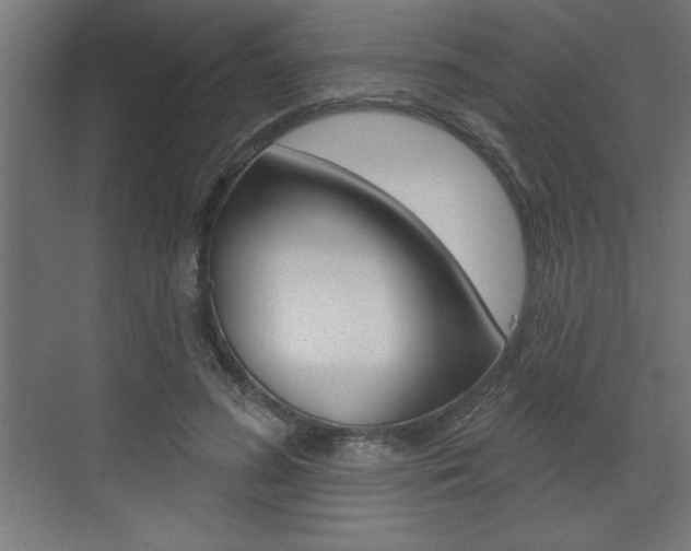 X0000073480596200607310853