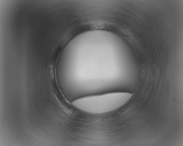 X0000073480598200607310853