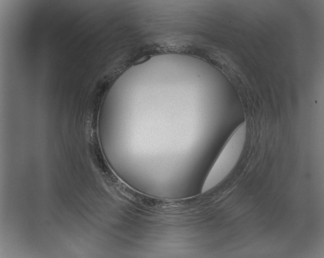 X0000073480599200607310853