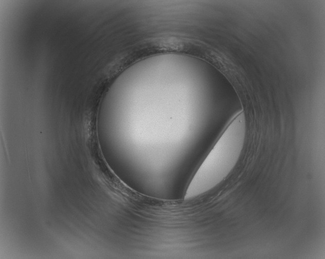 X0000073480600200607310853