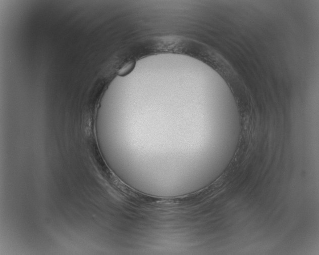 X0000073480602200607310853