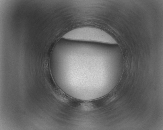 X0000073480603200607310853