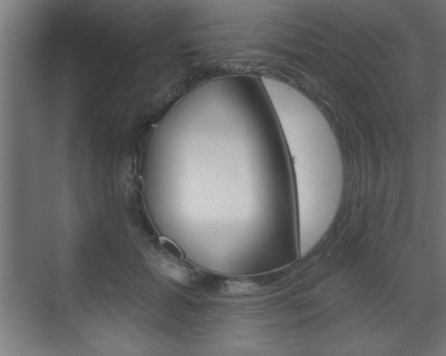X0000073480605200607310853