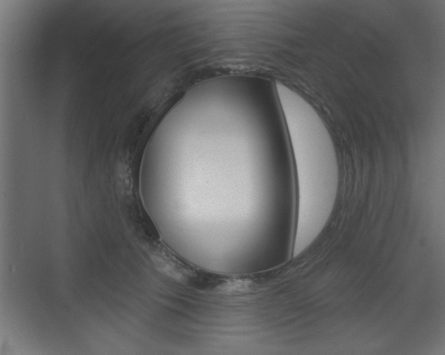 X0000073480609200607310853