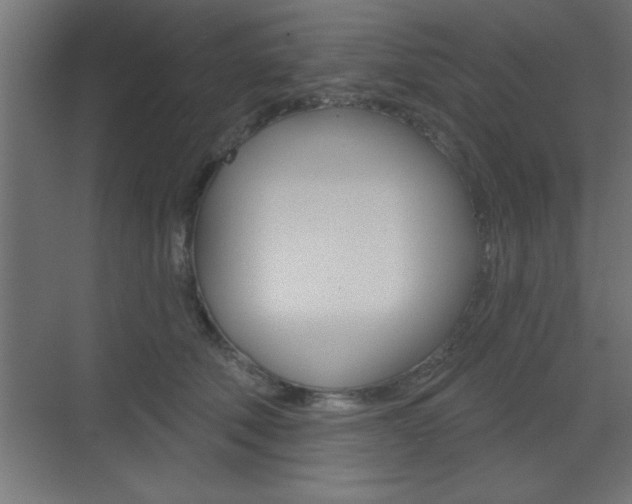 X0000073480610200607310853