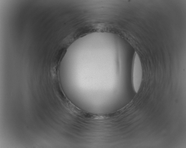 X0000073480611200607310853