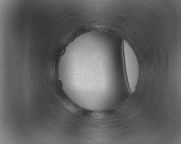 X0000073480615200607310853