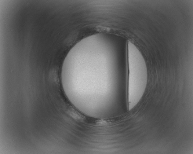 X0000073480616200607310853