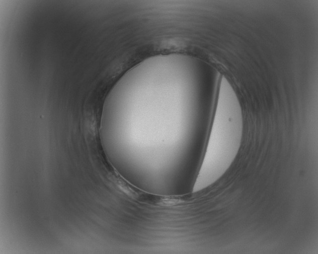 X0000073480617200607310853