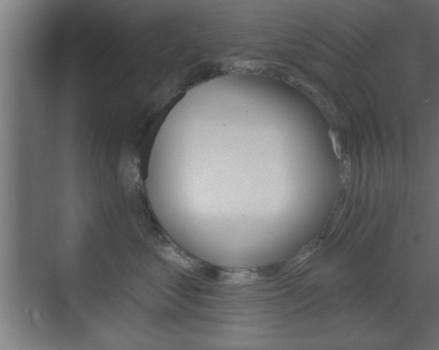 X0000073480621200607310852