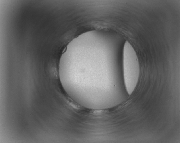 X0000073480622200607310852