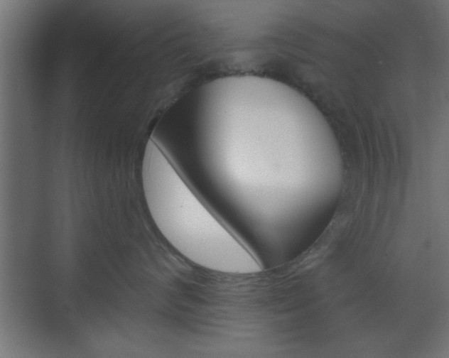 X0000073480624200607310852
