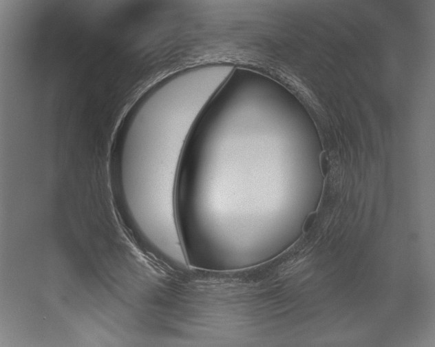 X0000073480626200607310852