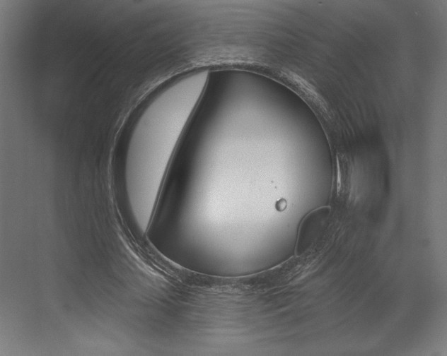 X0000073480627200607310852