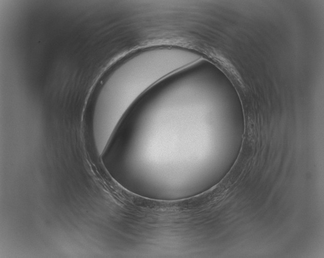 X0000073480628200607310852