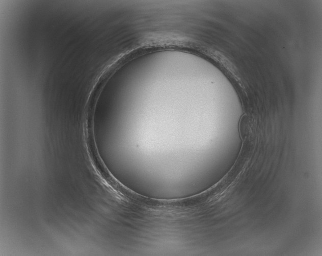 X0000073480629200607310852