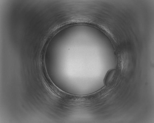 X0000073480631200607310852