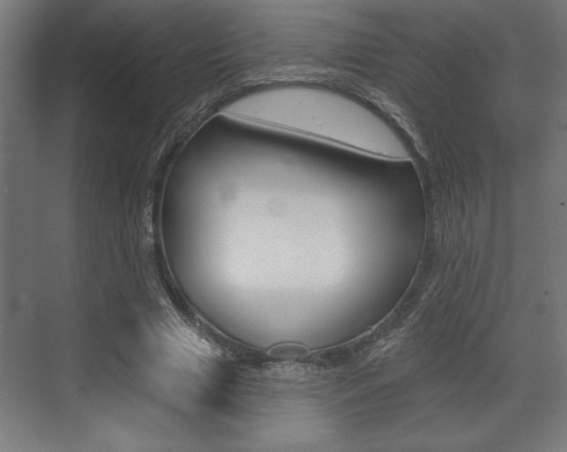 X0000073480633200607310852