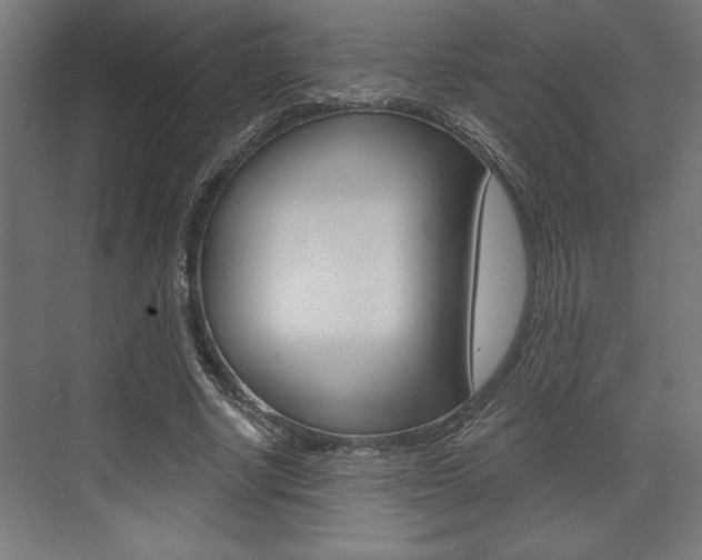 X0000073480634200607310852