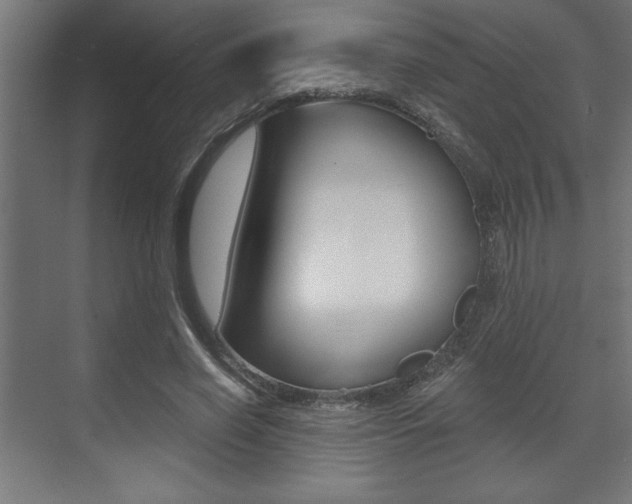 X0000073480638200607310852