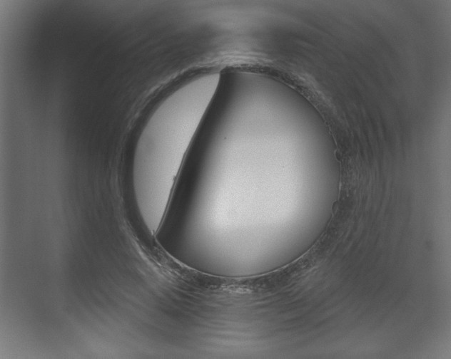 X0000073480640200607310852