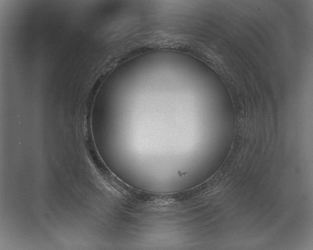 X0000073480642200607310852