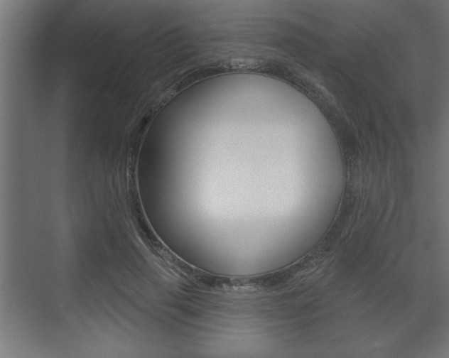 X0000073480645200607310852