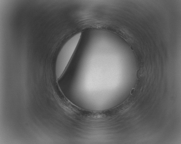 X0000073480646200607310852